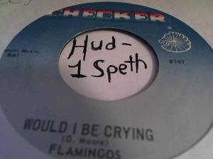 Hud-2 vinyl photos 082