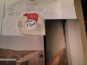 Hud-2 vinyl photos 410