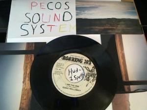 Hud-2 vinyl photos 659