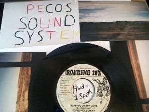 Hud-2 vinyl photos 660