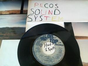 Hud-2 vinyl photos 665