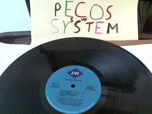 Hud-2 vinyl photos 1029