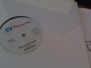 Hud-2 vinyl photos 1167