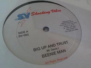 Hud-2 vinyl photos 1168