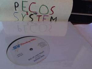 Hud-2 vinyl photos 1169