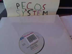 Hud-2 vinyl photos 1173