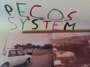 Hud-2 vinyl photos 1201