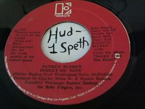 Hud-2 vinyl photos 1216