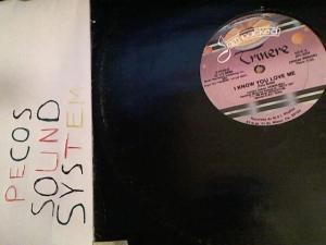 Hud-2 vinyl photos 1460