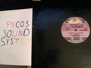 Hud-2 vinyl photos 703