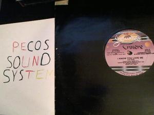 Hud-2 vinyl photos 704