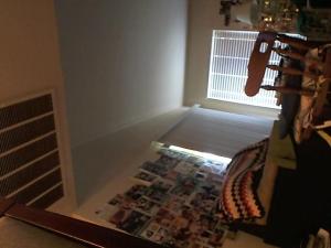 Hud-2 vinyl photos 941