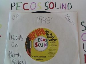 Hud-2 vinyl photos 1099