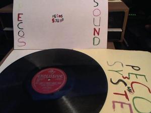 Hud-2 vinyl photos 2310