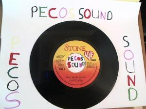 Hud-2 vinyl photos 3777