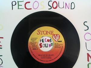 Hud-2 vinyl photos 3778