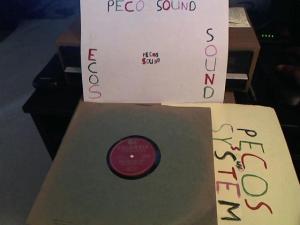 Hud-2 vinyl photos 4728