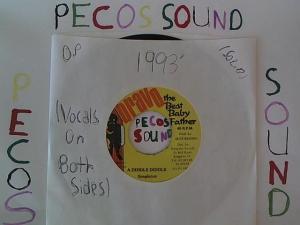 Hud-2 vinyl photos 1096