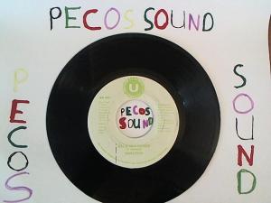 Hud-2 vinyl photos 1333