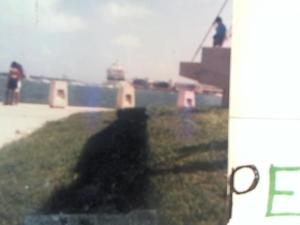 Hud-2 vinyl photos 1422