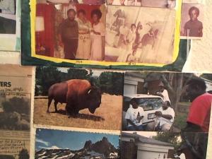 Hud-2 vinyl photos 1981