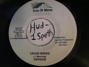 Hud-2 vinyl photos 2404