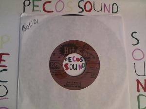 Hud-2 vinyl photos 2501