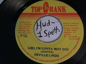 Hud-2 vinyl photos 2542