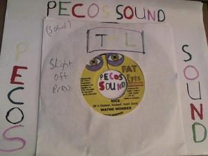 Hud-2 vinyl photos 2596