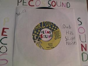 Hud-2 vinyl photos 2610