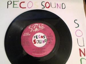 Hud-2 vinyl photos 2615