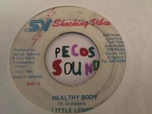 Hud-2 vinyl photos 2695