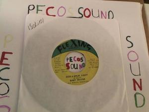 Hud-2 vinyl photos 2699