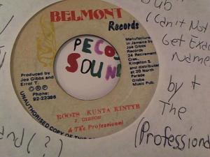 Hud-2 vinyl photos 2703