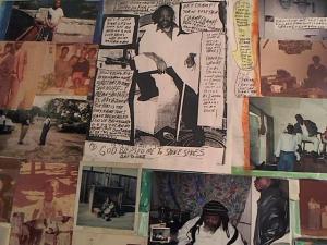 Hud-2 vinyl photos 2860