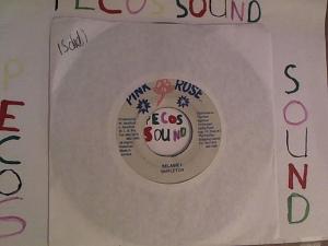 Hud-2 vinyl photos 2917