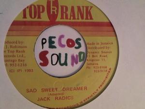 Hud-2 vinyl photos 2950