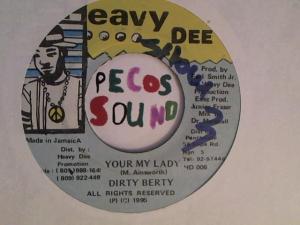 Hud-2 vinyl photos 2988