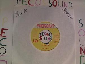 Hud-2 vinyl photos 3022