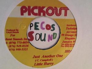 Hud-2 vinyl photos 3033