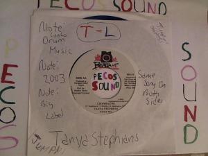 Hud-2 vinyl photos 3564