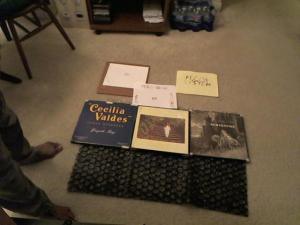Hud-2 vinyl photos 4110