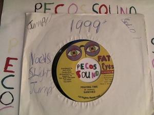 Hud-2 vinyl photos 4189