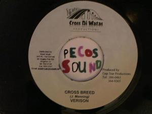 Hud-2 vinyl photos 5123