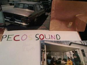 Hud-2 vinyl photos 1845