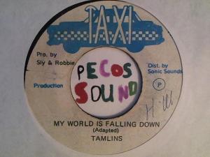 Hud-2 vinyl photos 2181