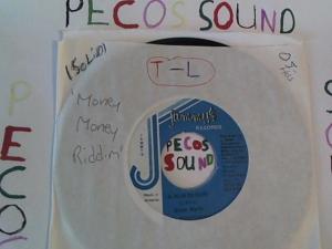 Hud-2 vinyl photos 2309