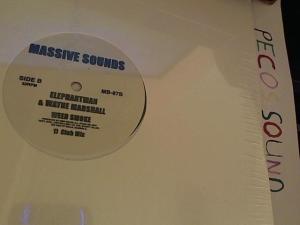 Hud-2 vinyl photos 3727