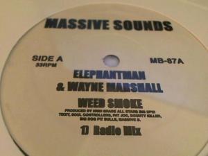 Hud-2 vinyl photos 3728