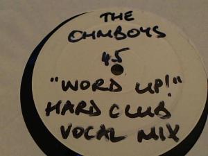 Hud-2 vinyl photos 3731